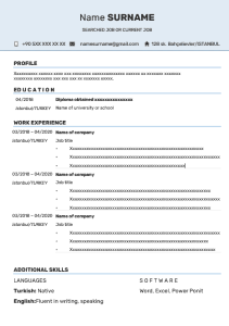 İngiltere,Kanada CV örneği